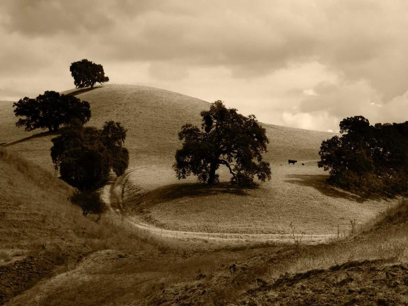 sudoku master screenshot 6