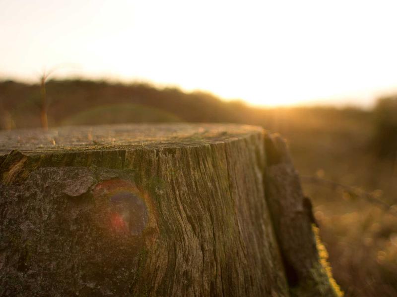 sudoku unique rectangle screenshot 5